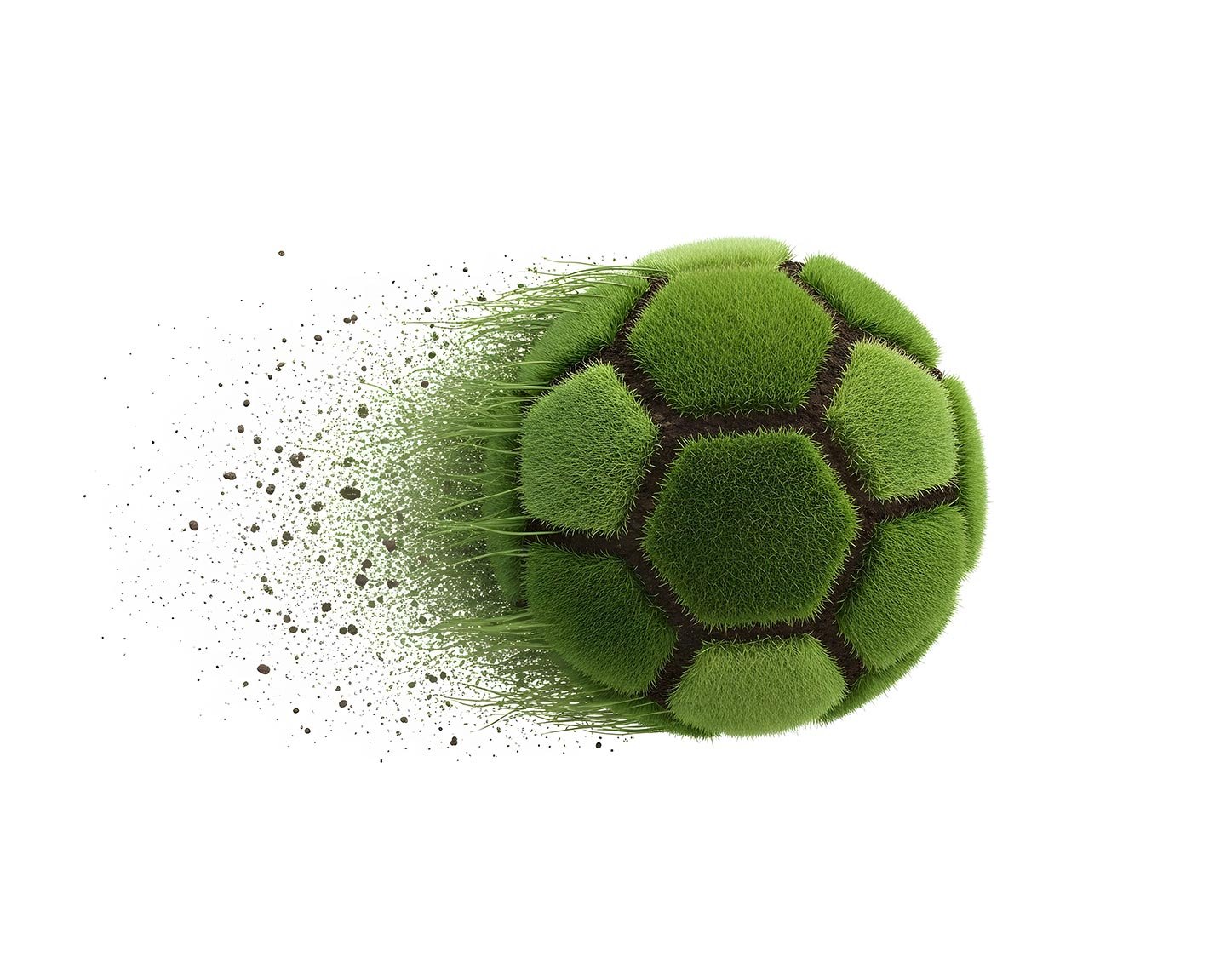 pallone da calcio esg