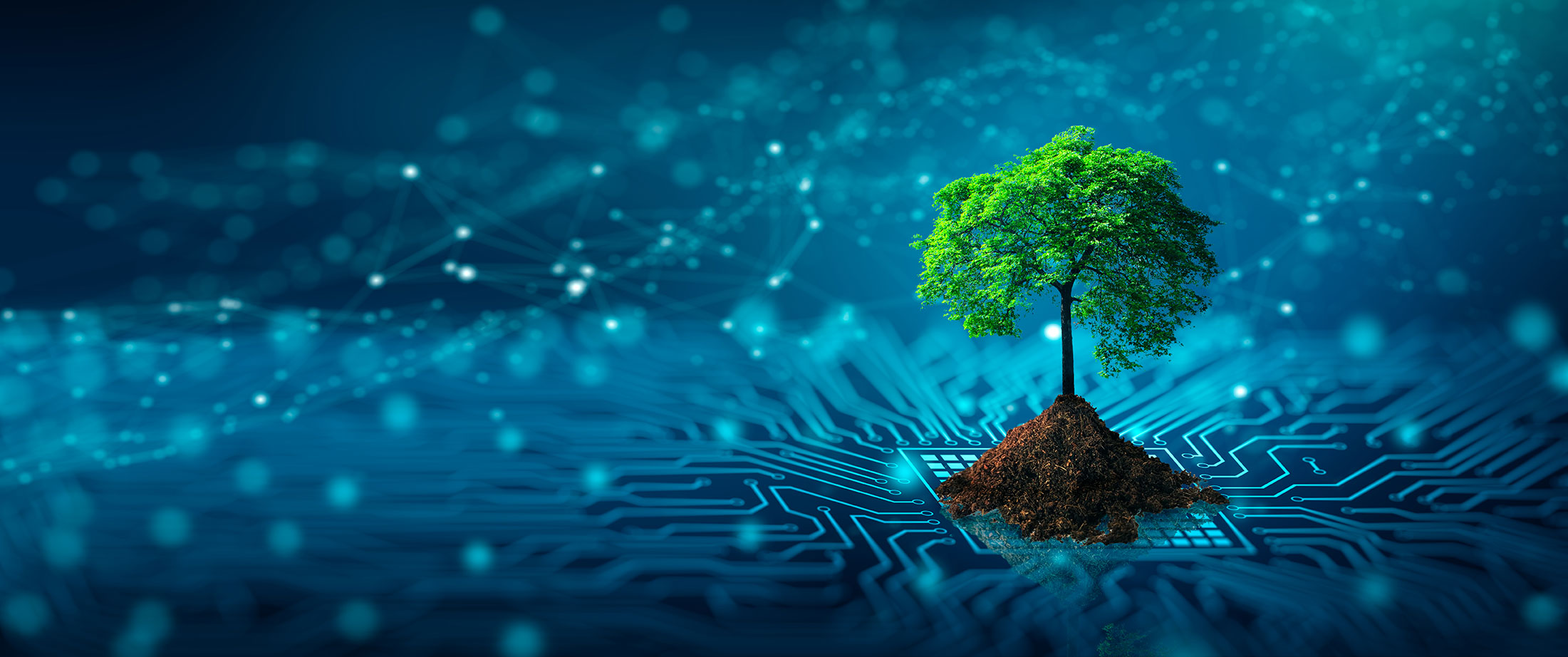 shutterstock_6